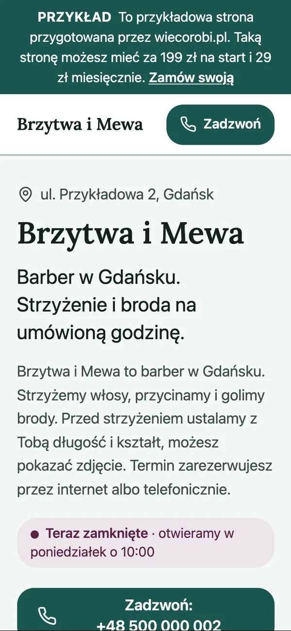 Przykładowa strona barbera na telefonie